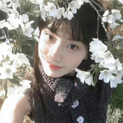 阿班与裘迪